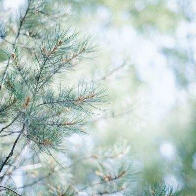 天成彩票手机app下载截图