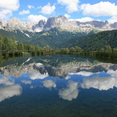 管家婆一码一肖资料下载手机版截图