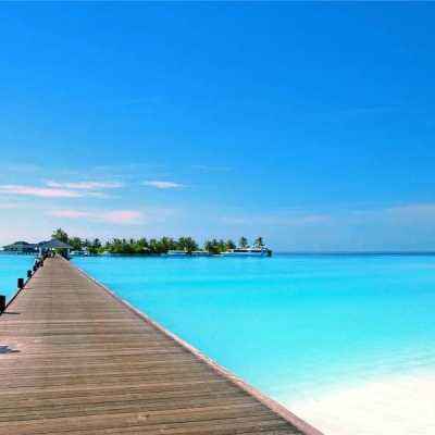 4688美高梅登录中心