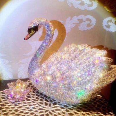 域网棋牌下载手机版