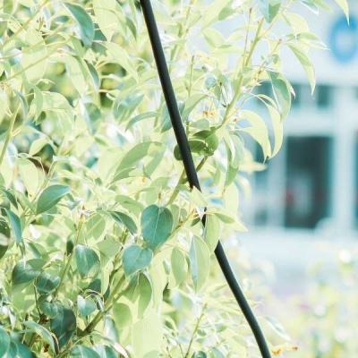 香港今晚六给彩开奖结果手机app下载截图